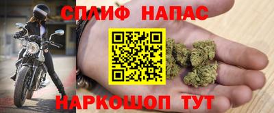 крисы Ирбит