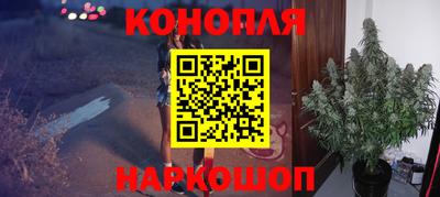 крисы Ирбит