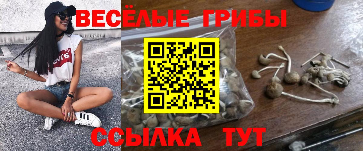 Псилоцибиновые грибы мицелий Тверь