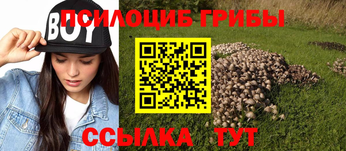 Тверь  Псилоцибиновые грибы Psilocybe  Вход с VPN  магазин продажи наркотиков  Галлюциногенные грибы мухоморы 